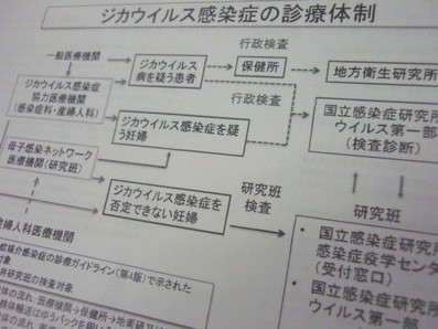 ジカ熱、“グレーゾーン”の妊婦も検査可能にのサムネイル画像