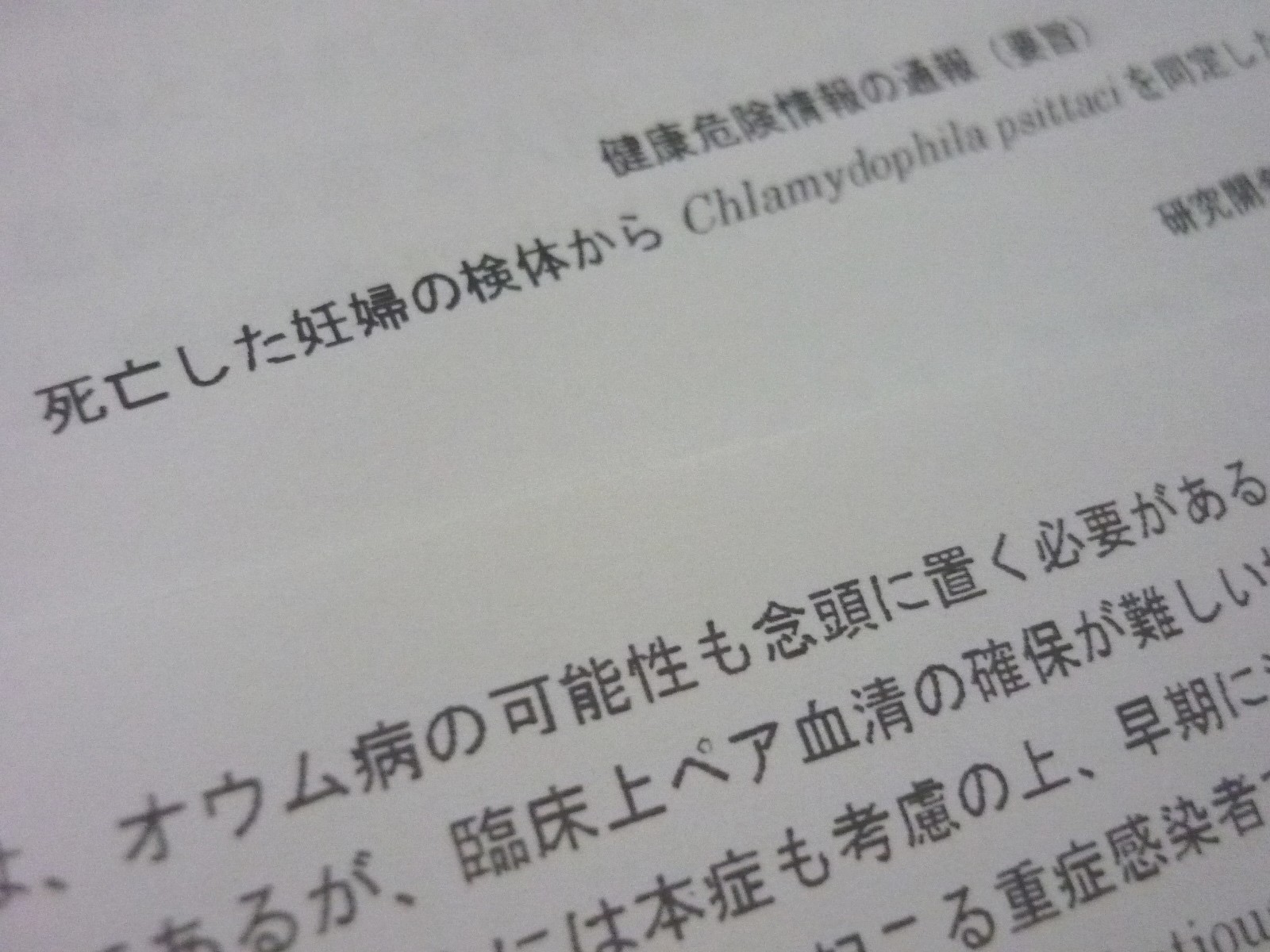 オウム病で妊婦死亡疑い、健康危険情報周知をのサムネイル画像