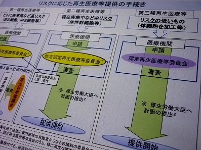 再生医療で敗血症、細胞汚染原因で初報告のサムネイル画像