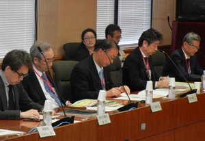 がんゲノム医療提供、中核・拠点病院の整備を