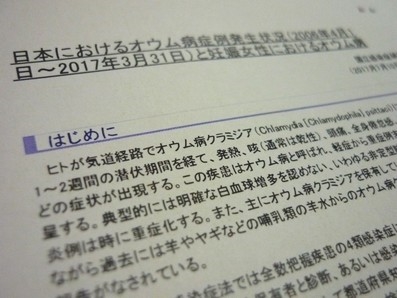 オウム病の感染源、インコが最多のサムネイル画像
