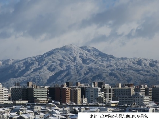 「やりたい医療」と「求められる医療」のサムネイル画像