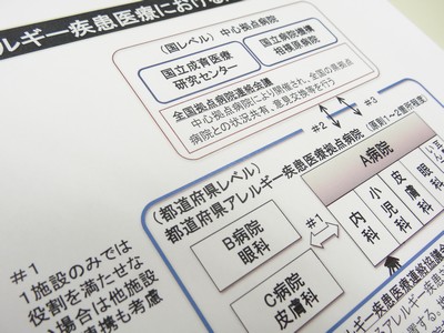 アレルギー対策、都道府県拠点病院のモデル事業開始へのサムネイル画像