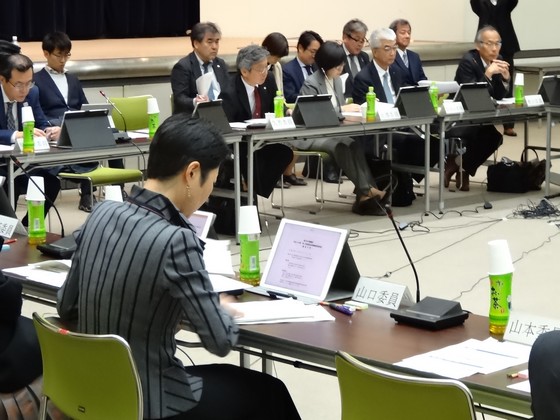 特定機能薬局の法制化を了承、厚科審部会のサムネイル画像