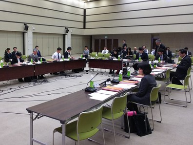 高齢者医薬品適正使用の指針・追補、年度内策定へのサムネイル画像