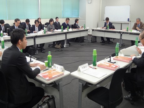 高齢者の医薬品適正使用指針、各論編は年度内にも