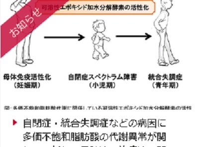 自閉症の病因に多価不飽和脂肪酸の代謝異常が関与のサムネイル画像