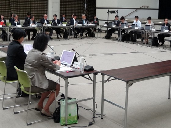 キムリア実評価は4455万円、係数0.2で加算縮小のサムネイル画像