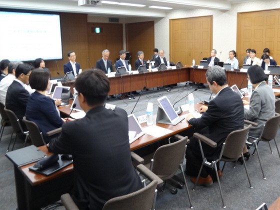 妊産婦への医療の充実、整理案をおおむね了承のサムネイル画像