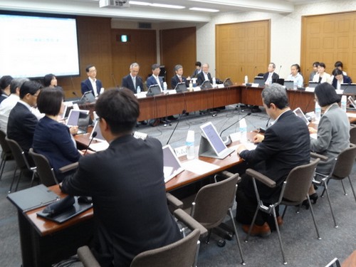 妊産婦への医療の充実、整理案をおおむね了承