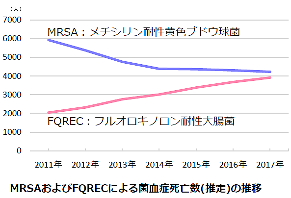 薬剤耐性菌、国内で年8千人超が死亡のサムネイル画像