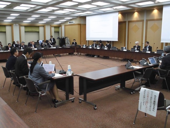 20年度の保険医療材料制度改革、骨子案を了承のサムネイル画像