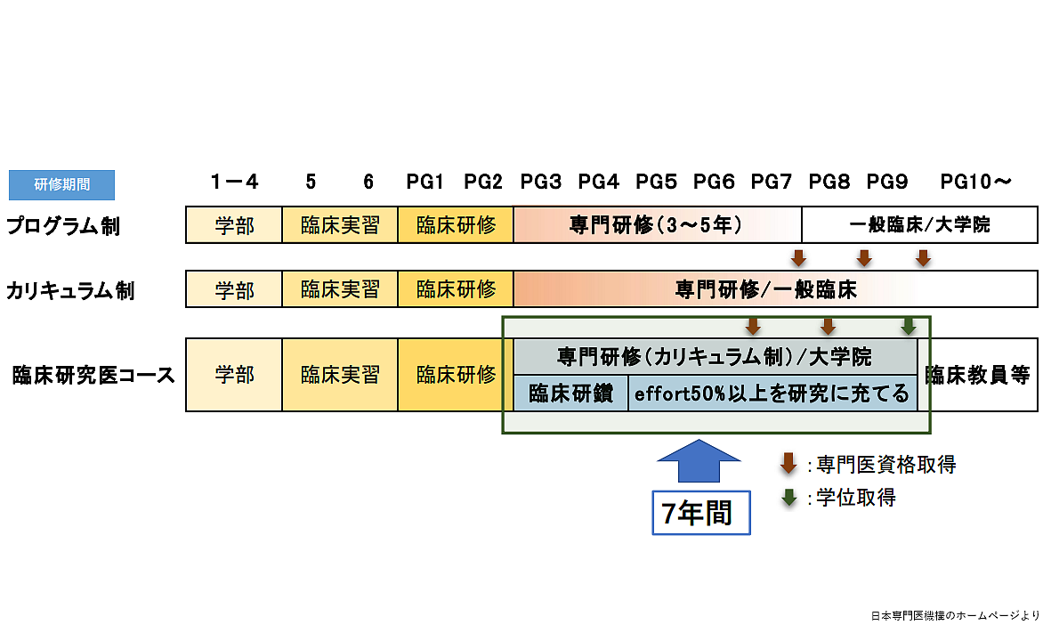 専門医機構、「臨床研究医コース」募集開始のサムネイル画像