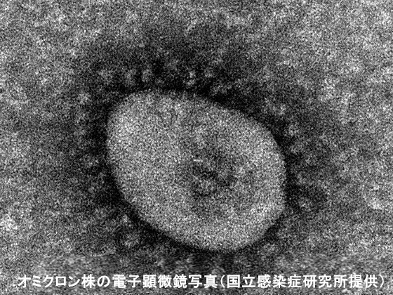 「BA.5」に効果、コロナ抗ウイルス薬3種のサムネイル画像