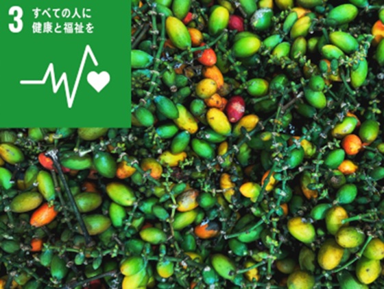 植物由来のポリフェノール、2型糖尿病が改善のサムネイル画像