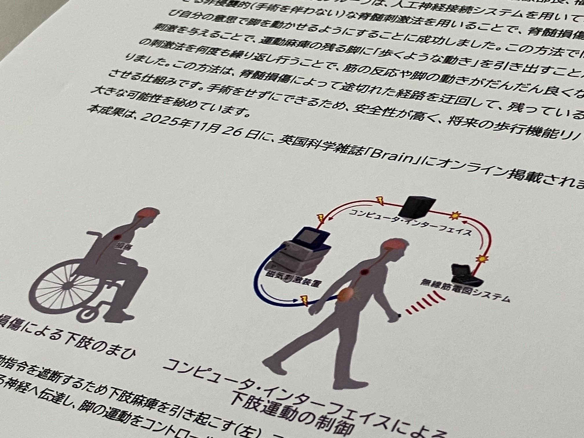 脊髄損傷者の歩行機能回復、人工神経接続システムでのサムネイル画像