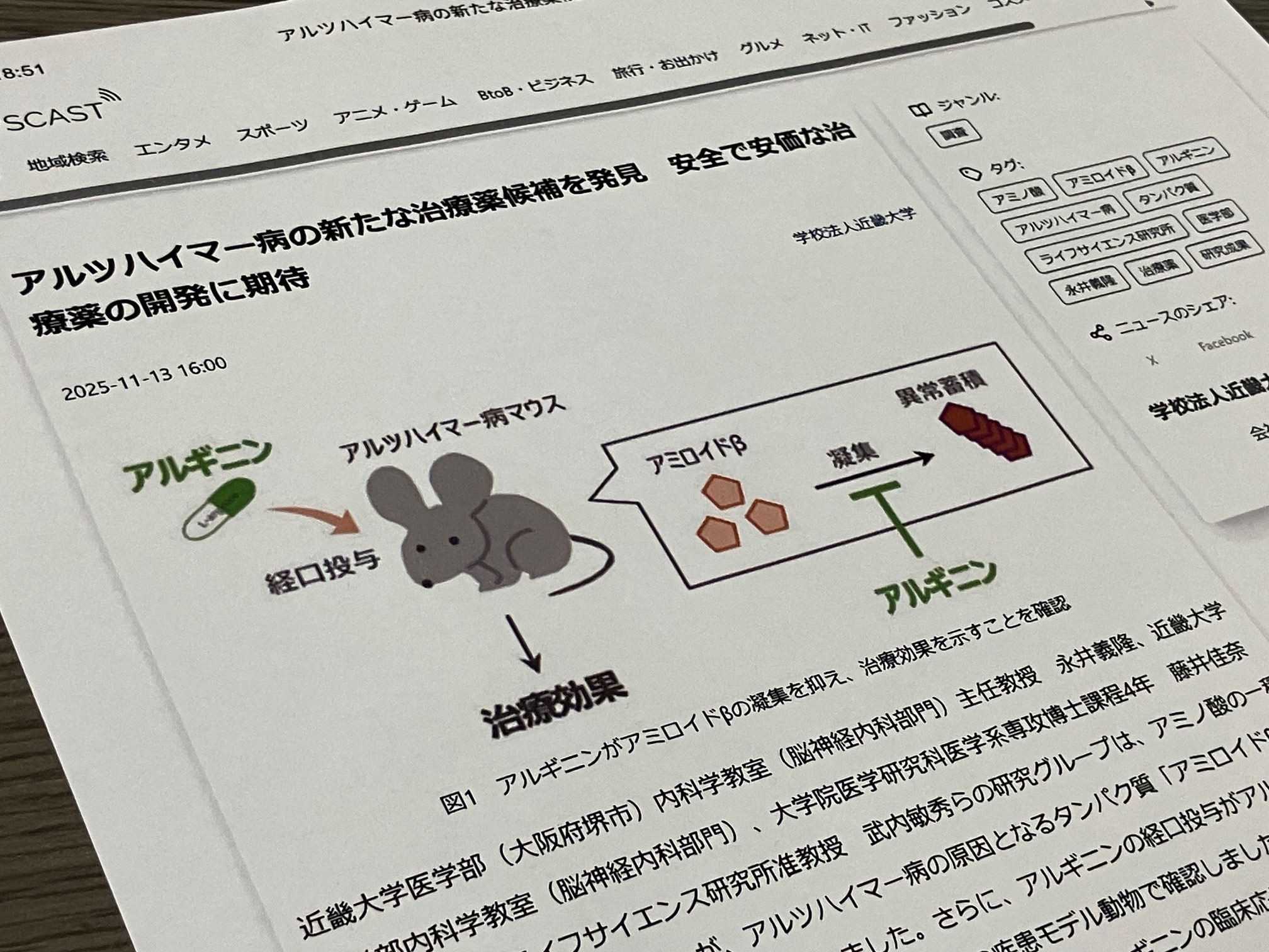 アルツハイマー病の新たな治療薬候補を発見のサムネイル画像