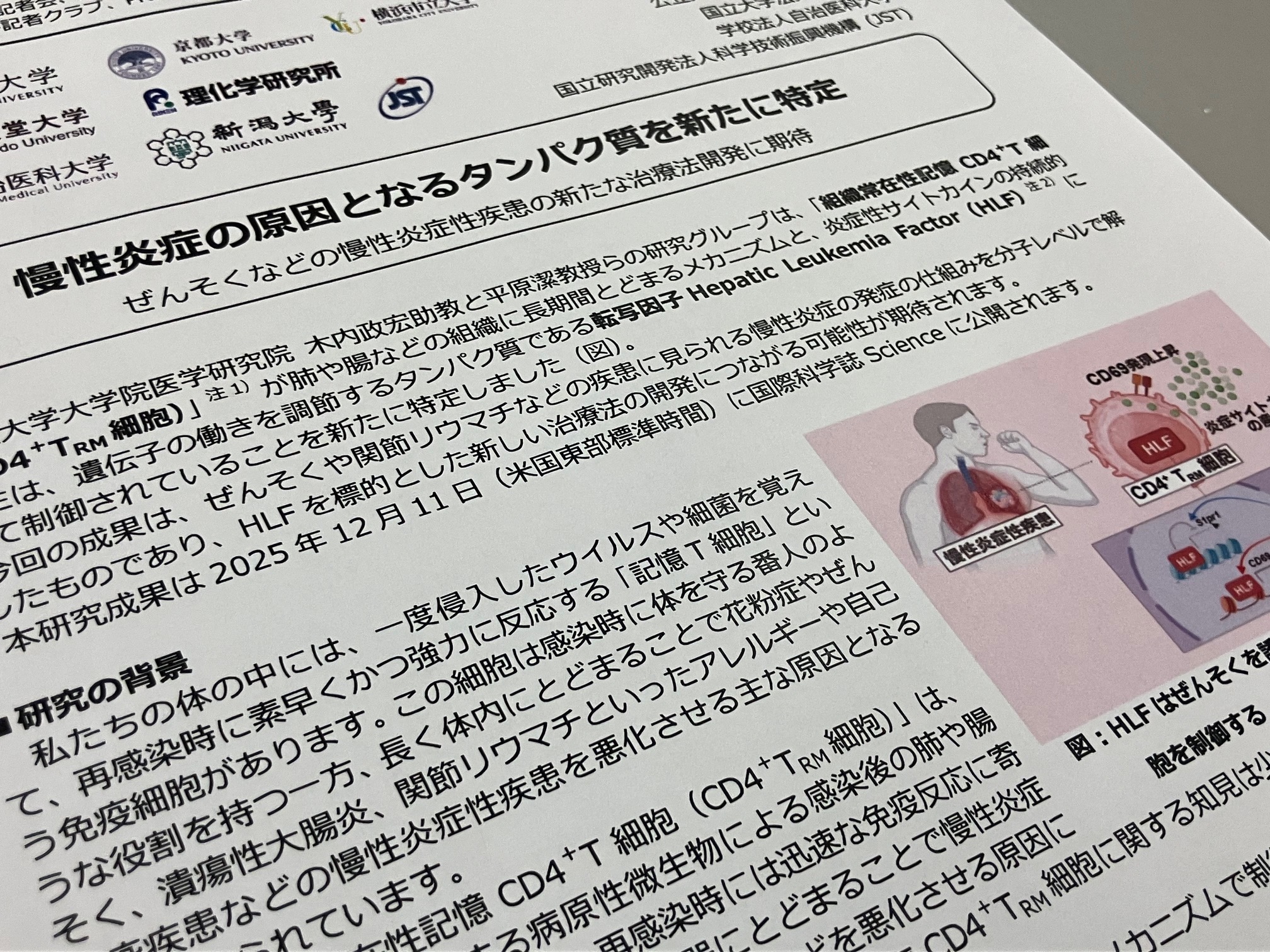 慢性炎症を引き起こすタンパク質特定のサムネイル画像