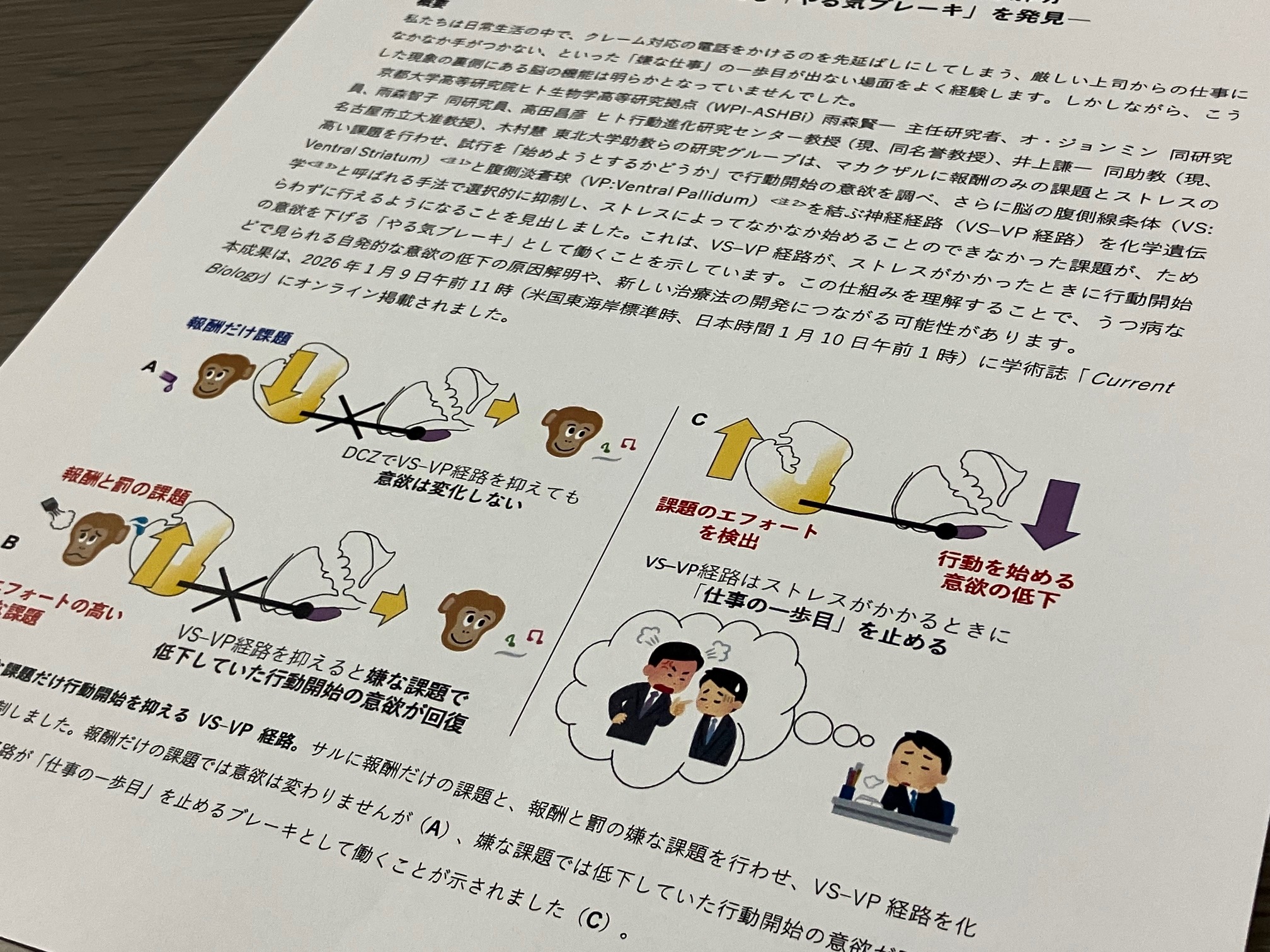 嫌な仕事を「始められない」神経回路解明のサムネイル画像