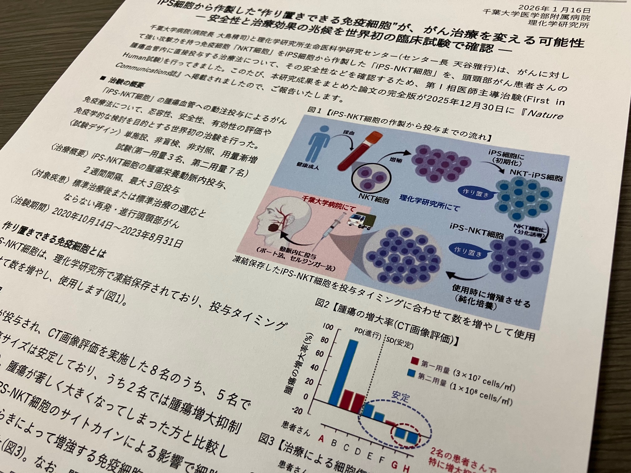 iPS由来の免疫細胞、頭頸部がん治療に効果の兆候のサムネイル画像