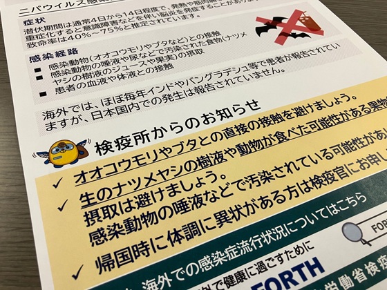 ニパウイルス感染リスク　国内では「低い」のサムネイル画像