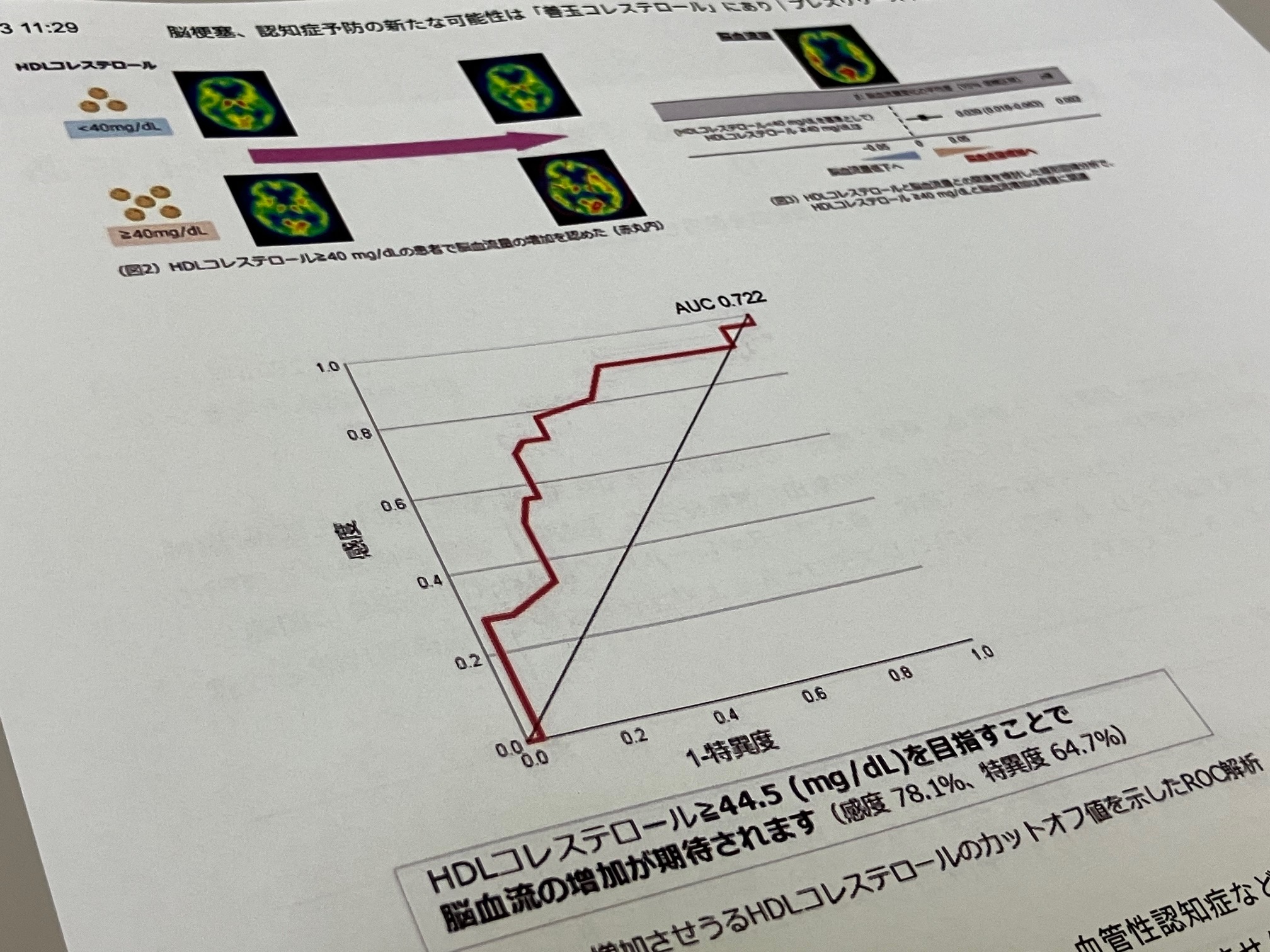 脳梗塞・認知症予防に善玉コレステロールが有効かのサムネイル画像