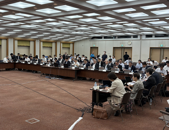 対象外の範囲設定で「柔軟運用」求める声　医療保険部会のサムネイル画像