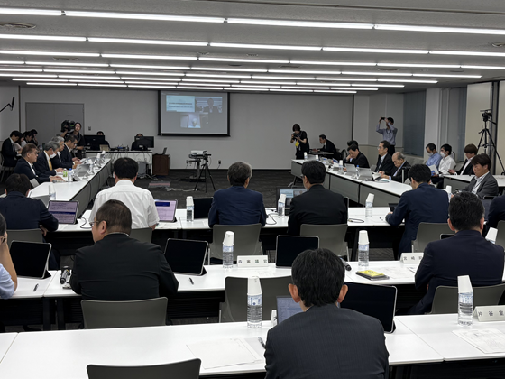 OTC類似薬、取りまとめ了承のサムネイル画像
