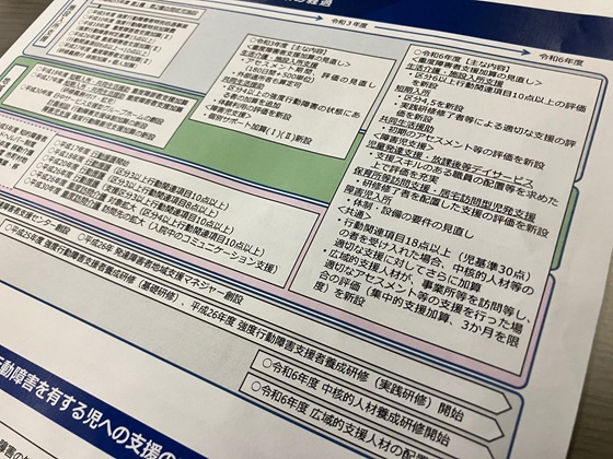 強度行動障害児への支援、運用状況の地域差解消へのサムネイル画像