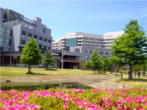 働く人の強みを生かす