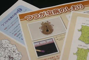 つつが虫病、各地で患者報告相次ぐ