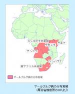 “洞窟ツアー”にご注意！のサムネイル画像