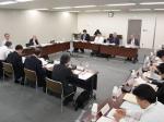 初の先進医療合同会議、阪大の1技術了承のサムネイル画像